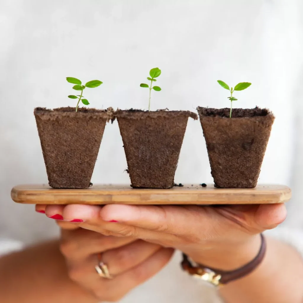 5 Top Tips on managing HR in a small business