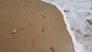 HR Strategy – 5 critical steps