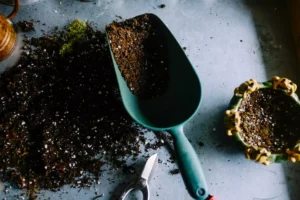 What Is Garden Leave? A Guide for Employers