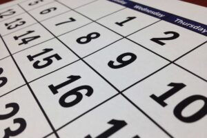 HR Strategy and how it will affect the next 12 months of your business