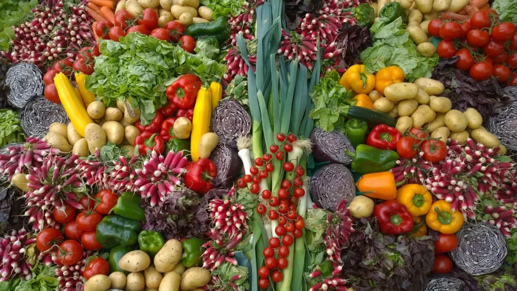 Solution to Address the Need for Seasonal Labour in Agriculture