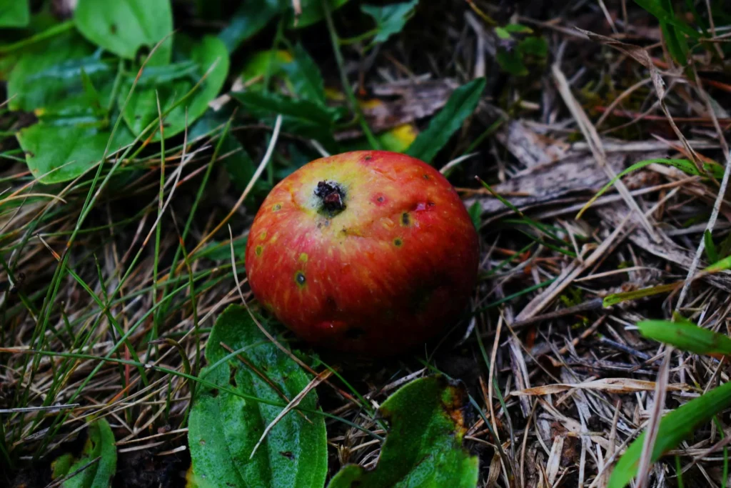 One bad apple in the workplace