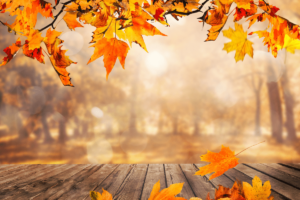 What you need to know about the Autumn Statement