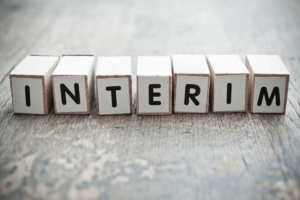 What can an Interim HR Director do for you?