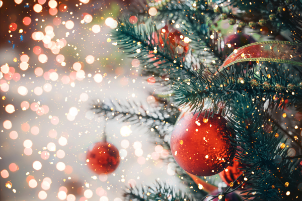 Festive Opening Hours 2024
