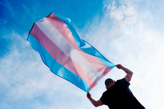 nternational Transgender Day of Visibility